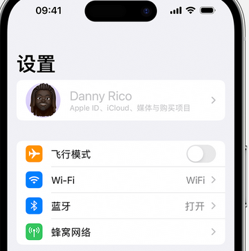 隆尧appleID维修服务iPhone设置中Apple ID显示为灰色无法使用 