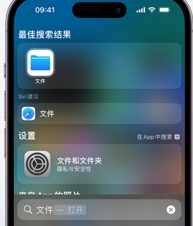 隆尧apple维修中心分享iPhone文件应用中存储和找到下载文件 