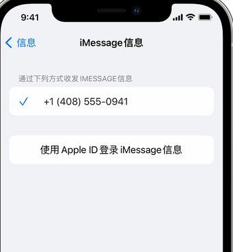 隆尧apple维修iPhone上无法正常发送iMessage信息 