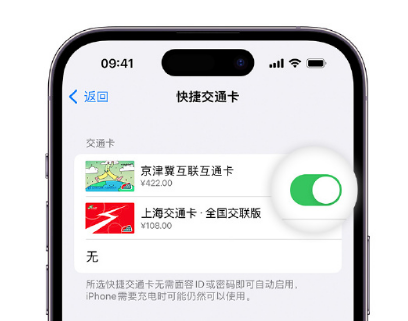 隆尧apple维修点分享iPhone上更换Apple Pay快捷交通卡手绘卡面 