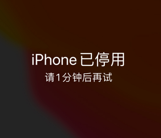 隆尧苹果手机维修分享:iPhone 显示“不可用”或“已停用”怎么办？还能保留数据吗？ 