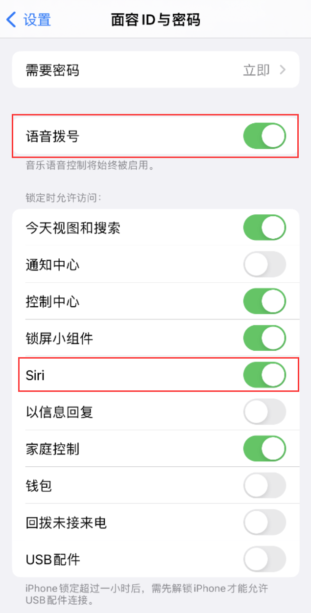 隆尧苹果维修网点分享不解锁 iPhone 的情况下通过 Siri 拨打电话的方法 