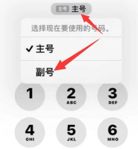 隆尧苹果14维修店分享iPhone 14 Pro Max使用副卡打电话的方法 