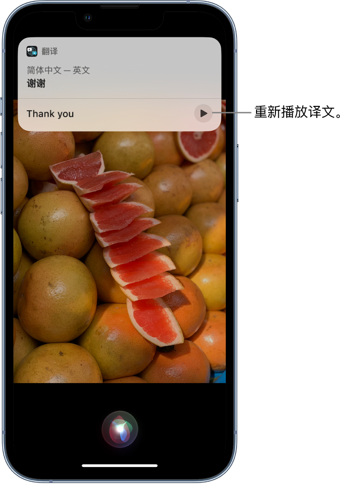 隆尧苹果14维修分享 iPhone 14 机型中使用 Siri：了解 Siri 能帮你做什么 