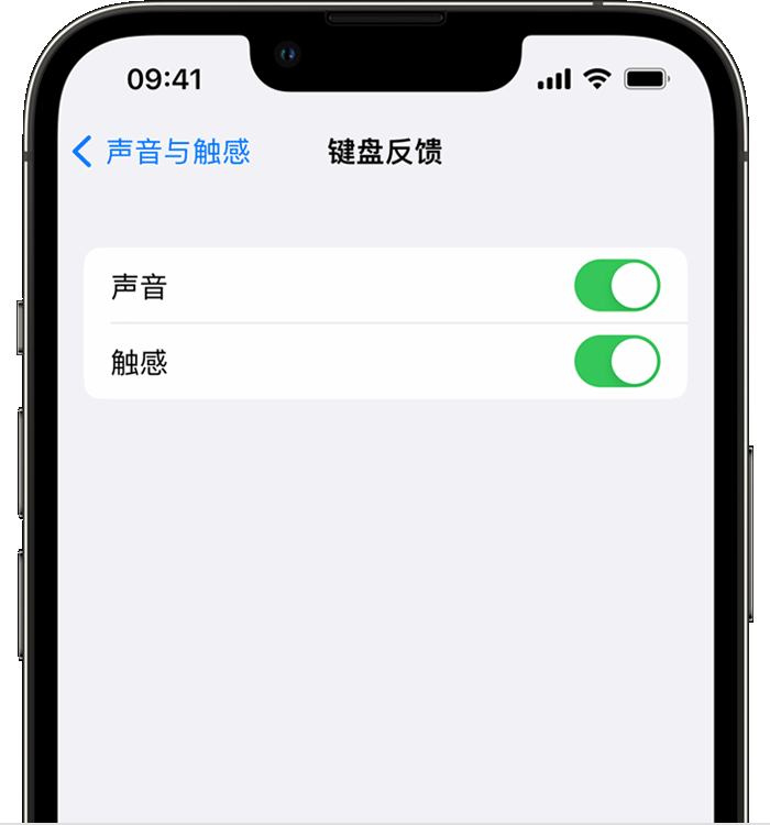 隆尧苹果14维修分享iPhone 14 系列机型如何开启键盘声音或触感反馈 