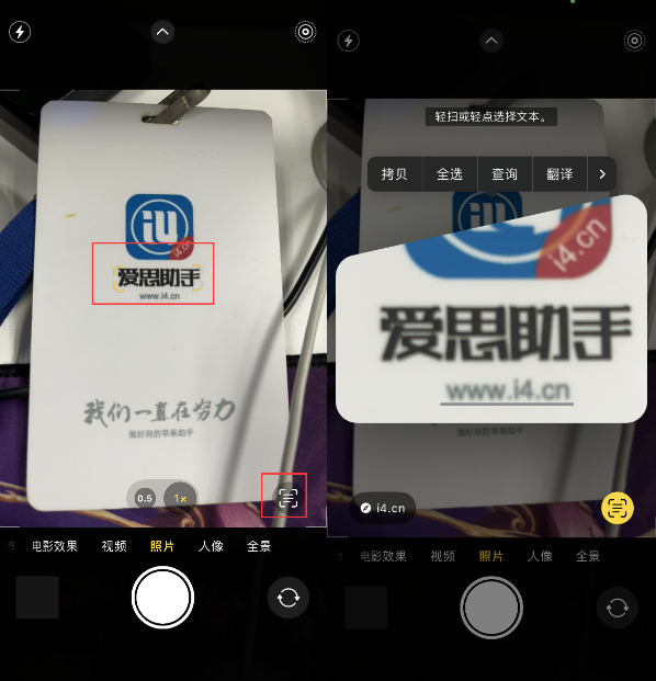 隆尧苹果手机维修分享升级iOS 16后如何通过相机翻译文本 