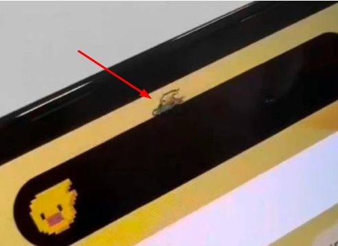 隆尧苹果14维修分享iPhone 14 Pro Max灵动岛怎么养宠物 