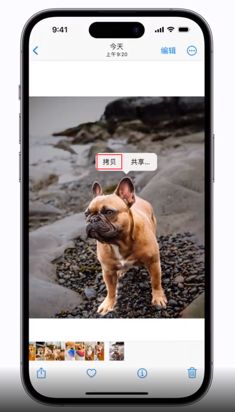 隆尧 苹果手机维修分享iOS 16 “照片”应用更新内容与改进汇总 
