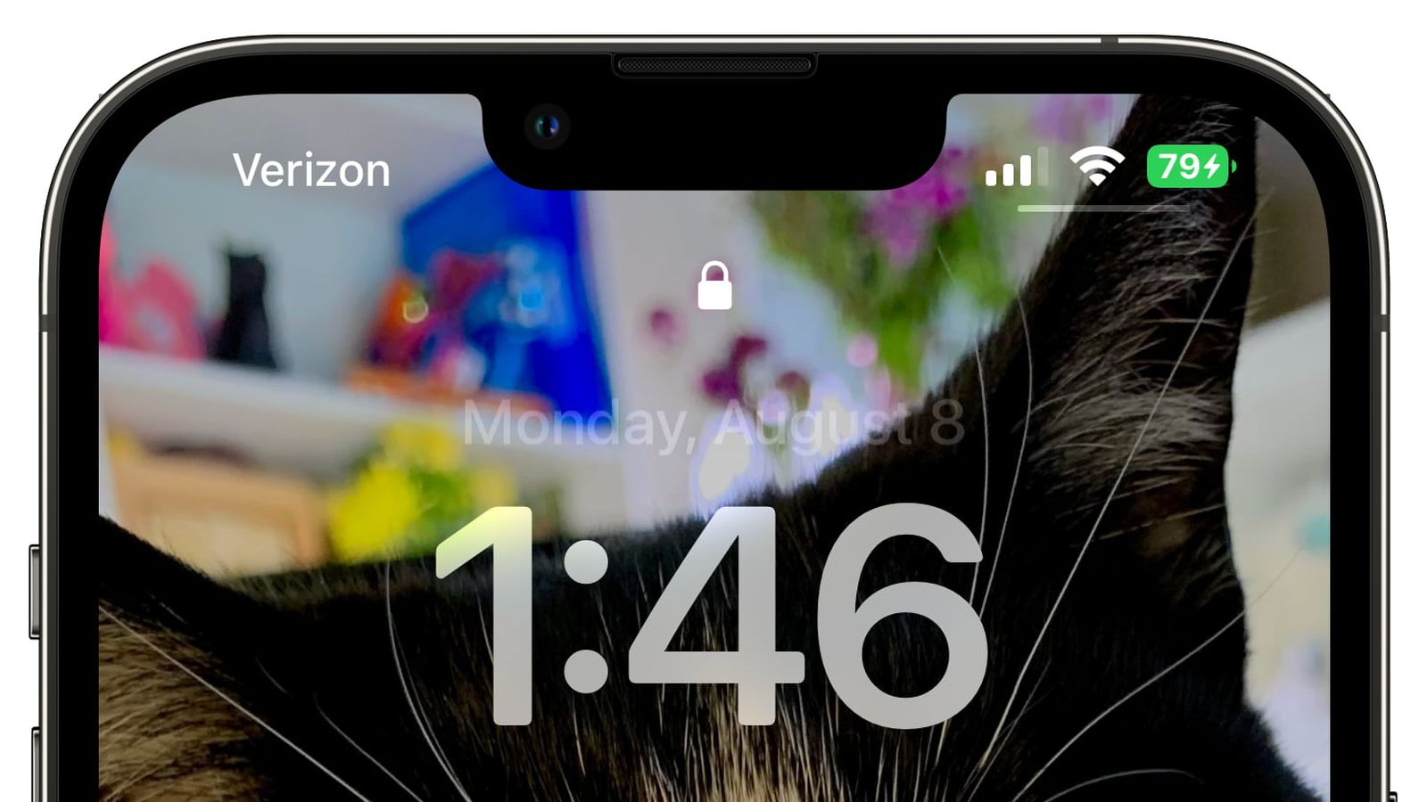 隆尧苹果手机维修分享iOS 16 beta 5 支持状态栏显示电池百分比，如何开启？支持哪些机型 