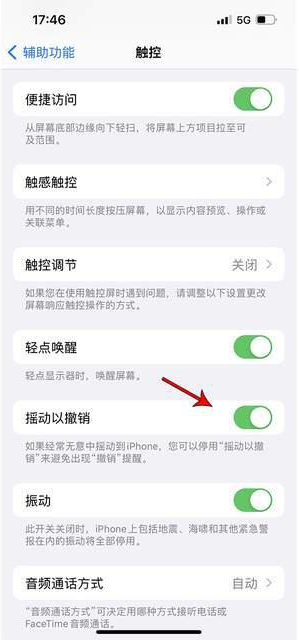 隆尧苹果手机维修分享iPhone手机如何设置摇一摇删除文字 