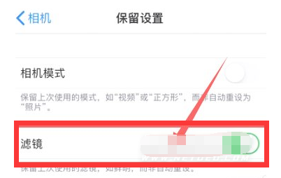 隆尧苹果13维修分享iPhone13拍照有绿点是怎么回事 
