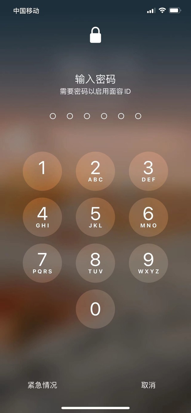 隆尧苹果13维修分享iPhone 13加强锁屏功能有什么用 