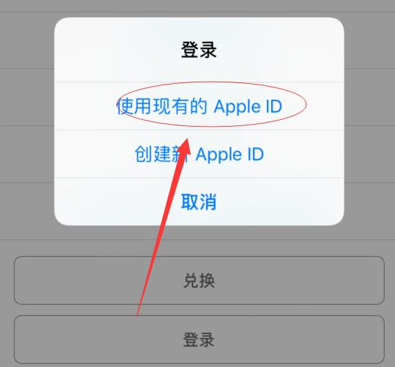 隆尧苹果手机维修分享两台iPhone设备可以同时登录一个Apple ID吗 