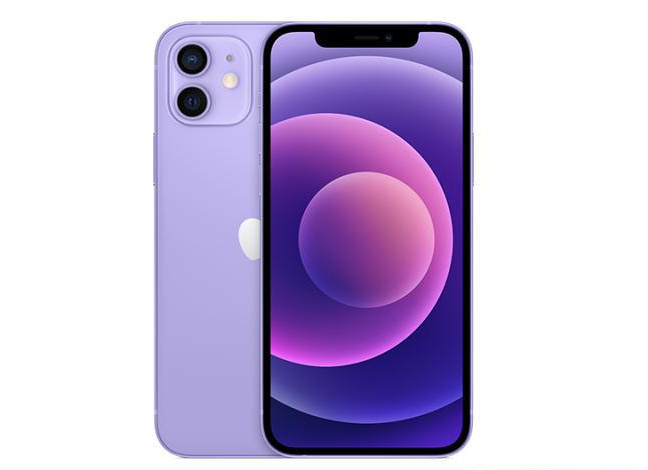 隆尧苹果手机维修分享现阶段要不要入手紫色版iPhone12 