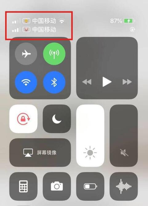 隆尧苹果手机维修分享为 iPhone 12 双卡设置标签 