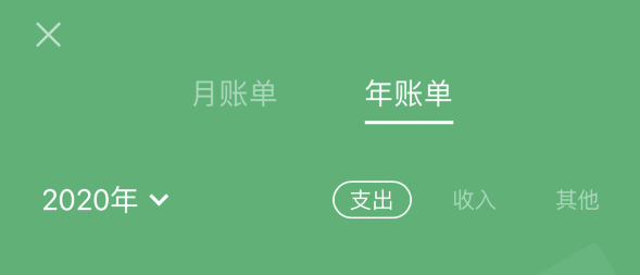 隆尧苹果手机维修分享如何在 iPhone 上查看支付宝和微信年支出账单 